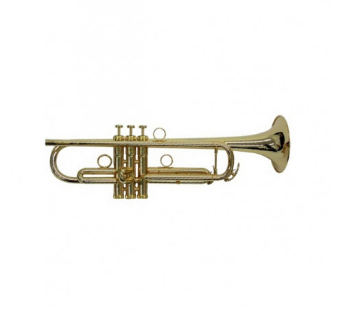 "Brasspire Unicorn J. Michael BPTR-1000G Труба Bb"