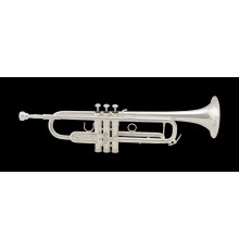Schilke S32 HD Труба Bb, профессиональная